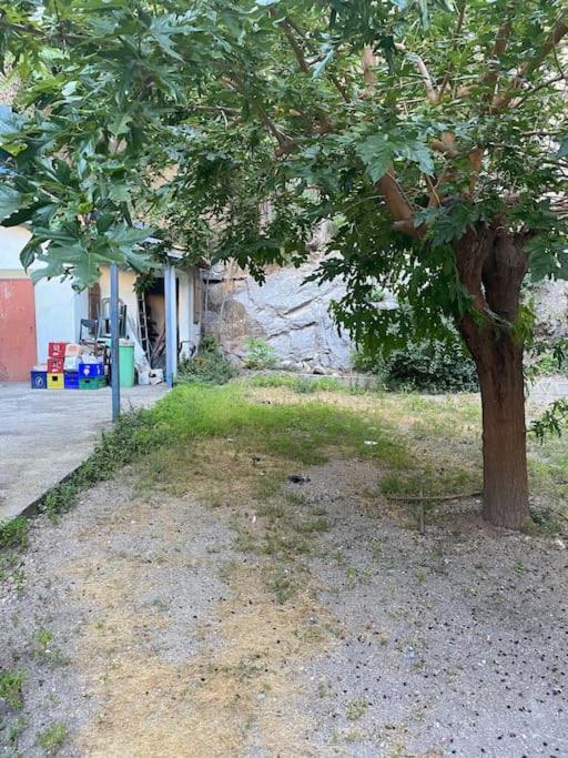 Appt 4 Pers Avec Jardin Ombrage En Centre Ville De Sète Eksteriør bilde