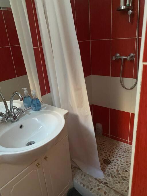 Appt 4 Pers Avec Jardin Ombrage En Centre Ville De Sète Eksteriør bilde